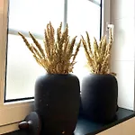 Apartment Scheepers Valkenburg aan de Geul