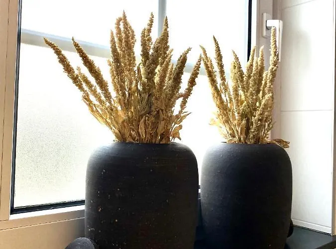 شقة Scheepers Valkenburg aan de Geul